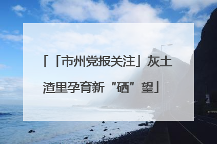 「市州党报关注」灰土渣里孕育新“硒”望