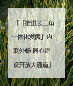「推进长三角一体化发展」内联外畅 同心建设开放大通道