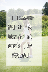 「蒲湖新语」让“友城之花”跨海向阳，尽情绽放