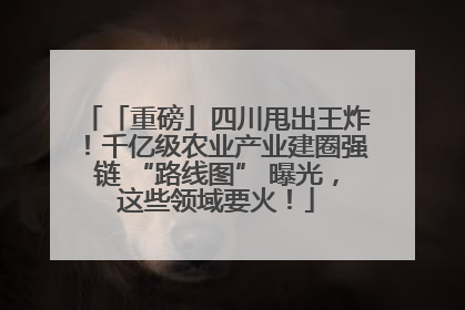 「重磅」四川甩出王炸！千亿级农业产业建圈强链 “路线图” 曝光，这些领域要火！