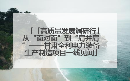 「高质量发展调研行」从“面对面”到“肩并肩”——甘肃全利电力装备生产制造项目一线见闻