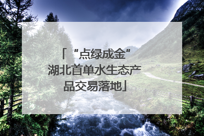 “点绿成金” 湖北首单水生态产品交易落地