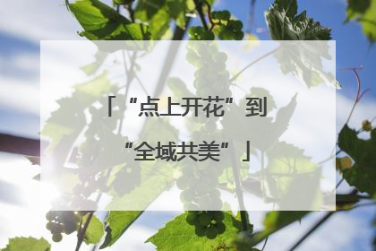 “点上开花”到“全域共美”