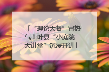 “理论大餐”冒热气！叶县“小庭院 大讲堂”沉浸开讲