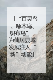 “百灵鸟、啄木鸟、织布鸟”，为仙居县域发展注入“新”动能