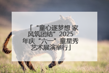 “童心逐梦想 家风筑团结”2025年庆“六一”童星秀艺术展演举行