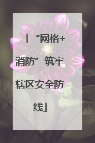 “网格+消防”筑牢辖区安全防线