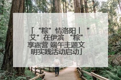 “粽”情洛阳丨“艾”在伊滨 “粽”享露营 端午主题文明实践活动启动