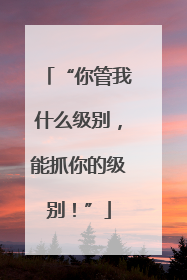 “你管我什么级别，能抓你的级别！”