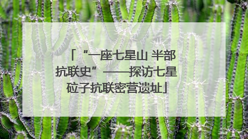 “一座七星山 半部抗联史”——探访七星砬子抗联密营遗址