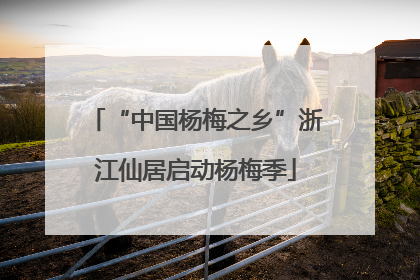 “中国杨梅之乡”浙江仙居启动杨梅季