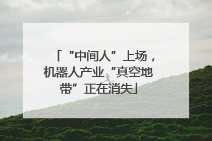 “中间人”上场，机器人产业“真空地带”正在消失