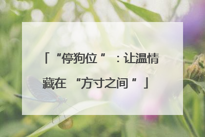 “停狗位 ”：让温情藏在 “方寸之间 ”