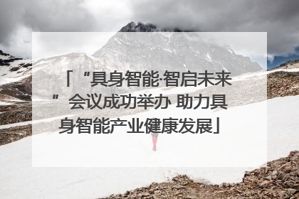 “具身智能·智启未来”会议成功举办 助力具身智能产业健康发展
