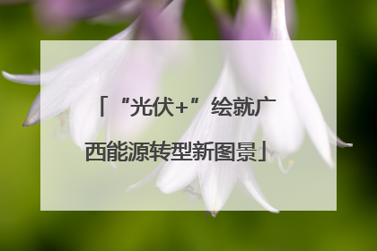 “光伏+”绘就广西能源转型新图景