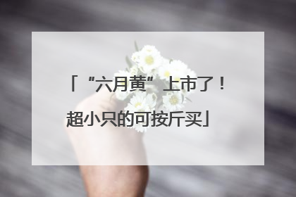 “六月黄”上市了！超小只的可按斤买
