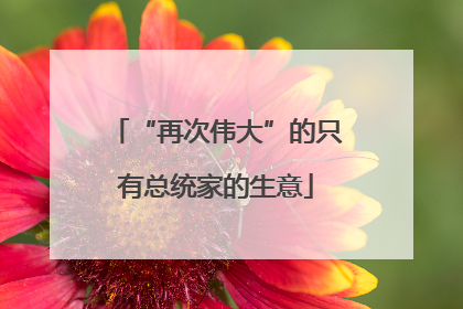 “再次伟大”的只有总统家的生意
