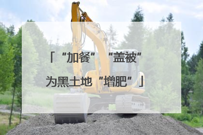 “加餐”“盖被” 为黑土地“增肥”