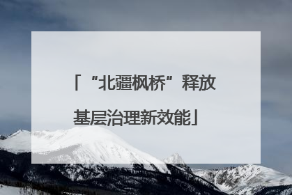 “北疆枫桥”释放基层治理新效能