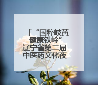 “国粹岐黄 健康铁岭”辽宁省第二届中医药文化夜市（铁岭站）启动
