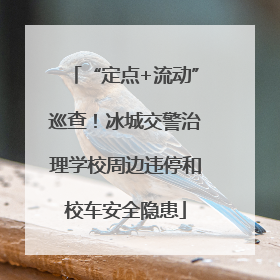 “定点+流动”巡查！冰城交警治理学校周边违停和校车安全隐患