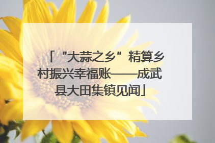 “大蒜之乡”精算乡村振兴幸福账——成武县大田集镇见闻