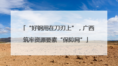 “好钢用在刀刃上”，广西筑牢资源要素“保障网”