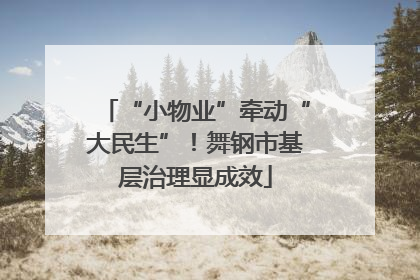 “小物业”牵动“大民生”！舞钢市基层治理显成效