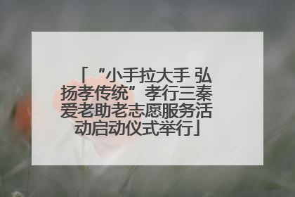 “小手拉大手 弘扬孝传统”孝行三秦爱老助老志愿服务活动启动仪式举行