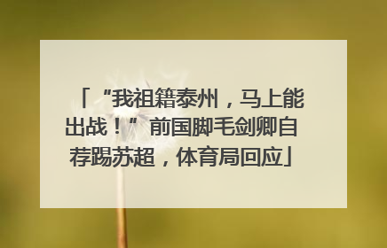 “我祖籍泰州，马上能出战！”前国脚毛剑卿自荐踢苏超，体育局回应