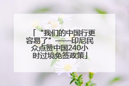 “我们的中国行更容易了”——印尼民众点赞中国240小时过境免签政策