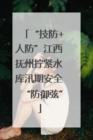 “技防+人防”江西抚州拧紧水库汛期安全“防御弦”