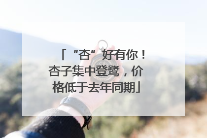 “杏”好有你！杏子集中登鹭，价格低于去年同期
