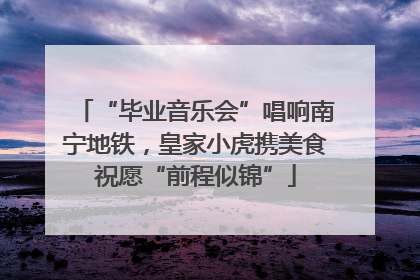 “毕业音乐会”唱响南宁地铁，皇家小虎携美食祝愿“前程似锦”