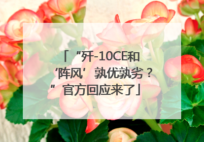 “歼-10CE和‘阵风’孰优孰劣？”官方回应来了