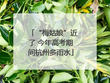 “梅姑娘”近了 今年高考期间杭州多雨水