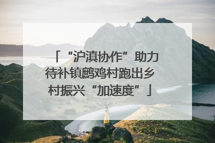 “沪滇协作”助力待补镇鹧鸡村跑出乡村振兴“加速度”
