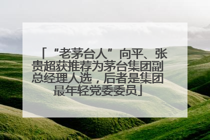 “老茅台人”向平、张贵超获推荐为茅台集团副总经理人选，后者是集团最年轻党委委员