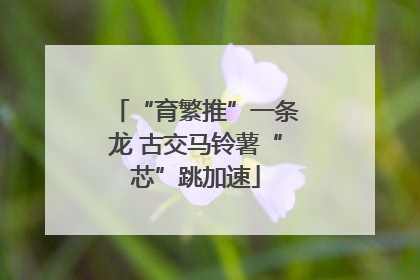 “育繁推”一条龙 古交马铃薯“芯”跳加速