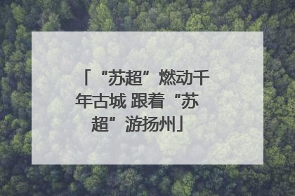 “苏超”燃动千年古城 跟着“苏超”游扬州