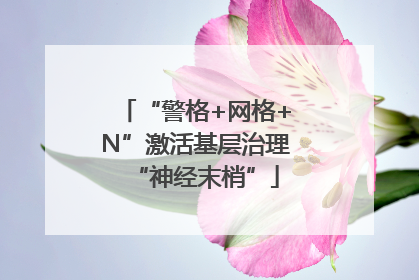 “警格+网格+N”激活基层治理“神经末梢”