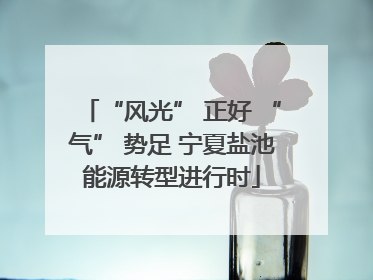 “风光” 正好 “气” 势足 宁夏盐池能源转型进行时