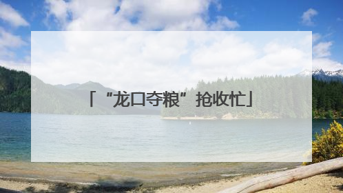 “龙口夺粮”抢收忙