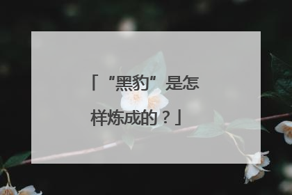 “黑豹”是怎样炼成的？