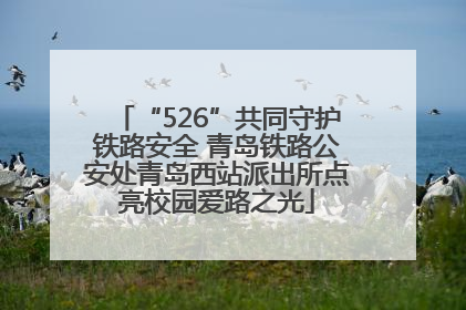 “526”共同守护铁路安全 青岛铁路公安处青岛西站派出所点亮校园爱路之光