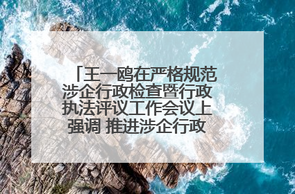 王一鸥在严格规范涉企行政检查暨行政执法评议工作会议上强调 推进涉企行政检查质效大幅提升