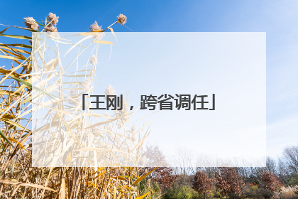 王刚，跨省调任