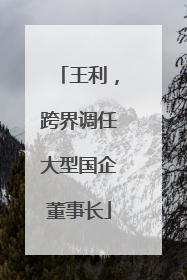 王利，跨界调任大型国企董事长