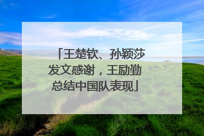 王楚钦、孙颖莎发文感谢，王励勤总结中国队表现