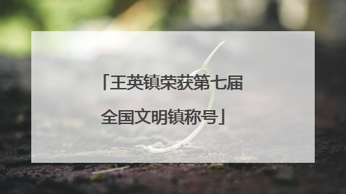 王英镇荣获第七届全国文明镇称号